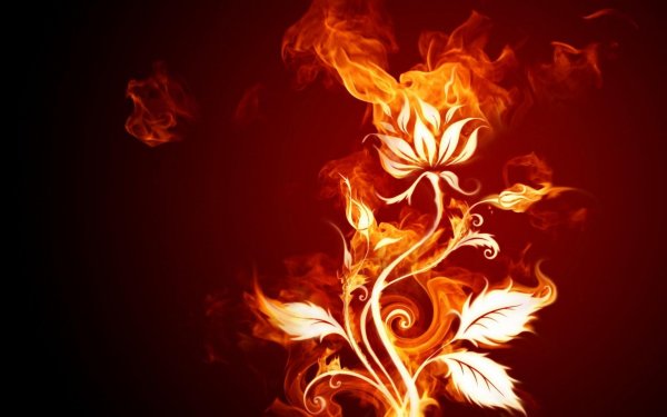 Artistic - Flower Wallpapers and Backgrounds