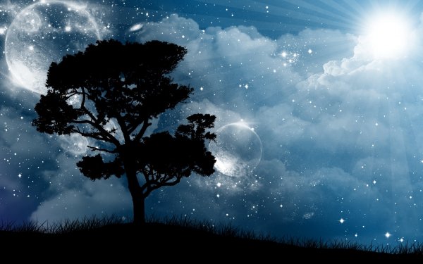 Artistic - Nature Wallpapers and Backgrounds