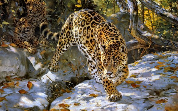 Artistic - Animal Wallpapers and Backgrounds
