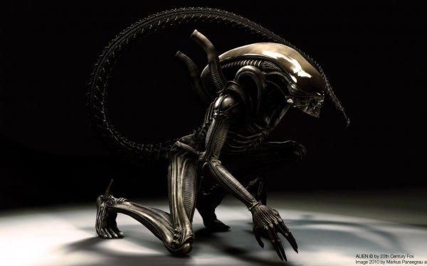 Movie - Alien Wallpapers and Backgrounds