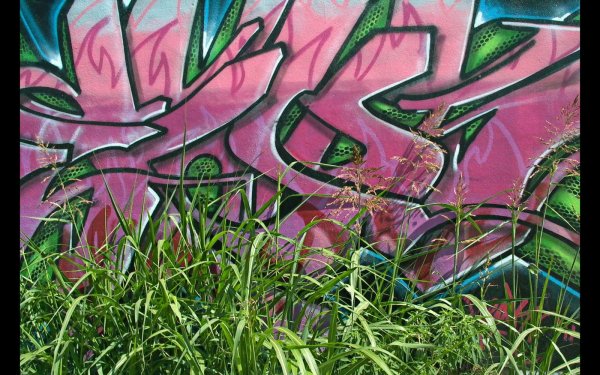 Artistic - Graffiti Wallpapers and Backgrounds