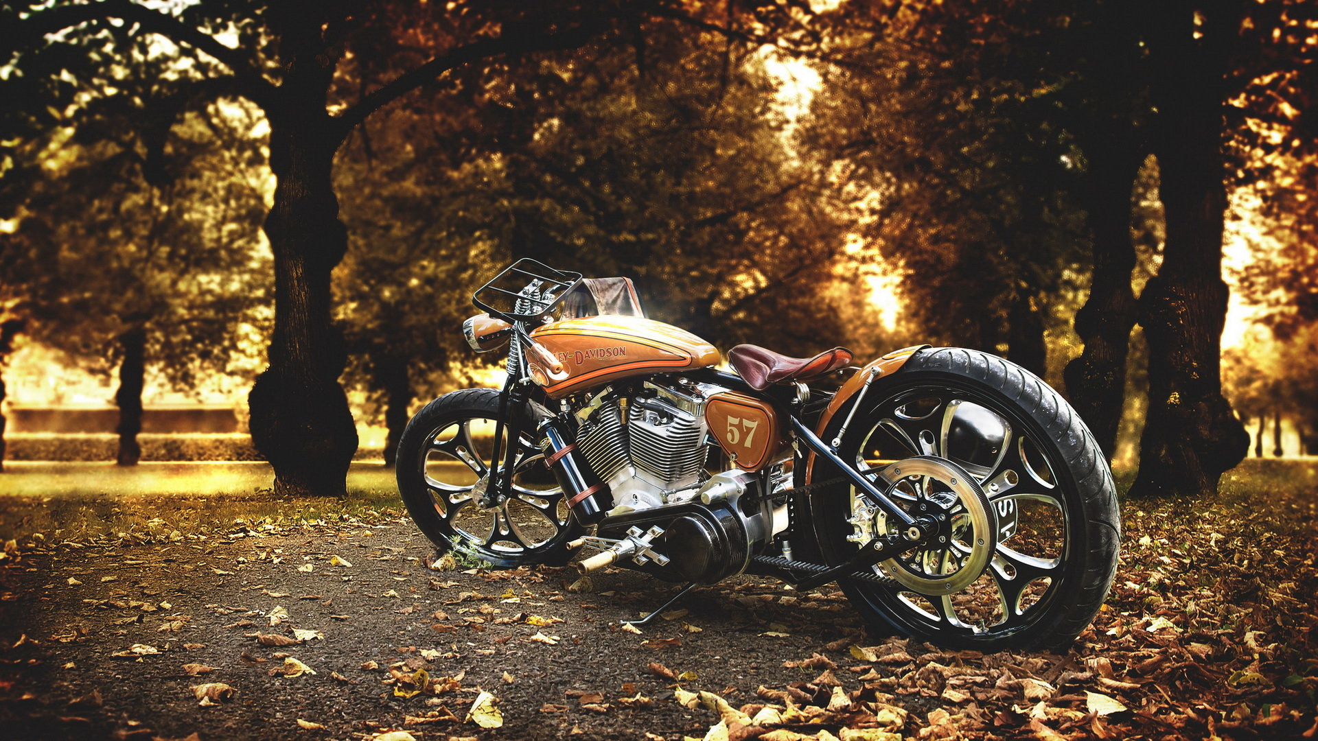 Motocicleta Amarilla Harley Fondos De Pantalla Hd Wal 3394