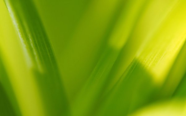 Multi Monitor - Earth Wallpapers and Backgrounds