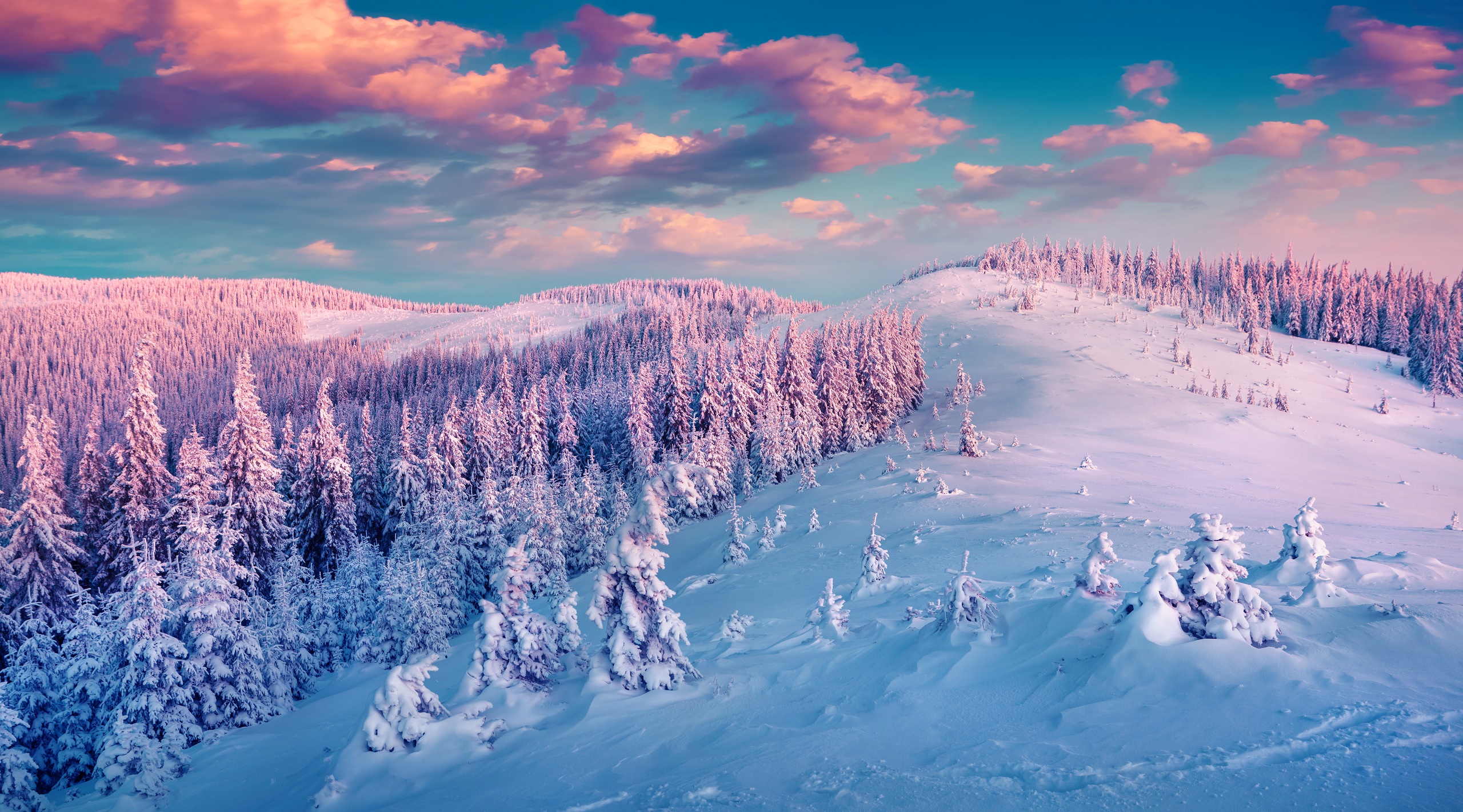Zima Tapety Na Komputer T a Pulpitu 2560x1421 ID 665834 Zima Tapety Na Komputer T a Pulpitu 2560x1421 ID 665834