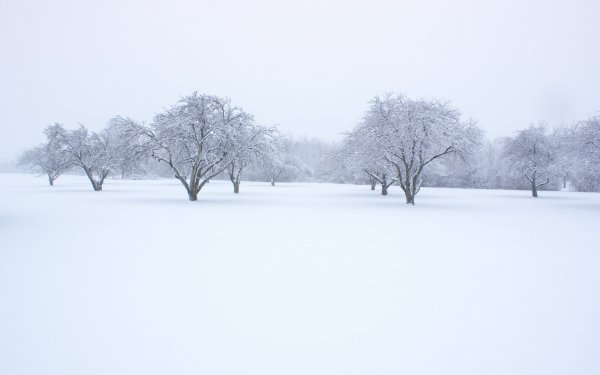 Earth - winter Wallpapers and Backgrounds