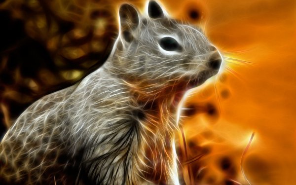 Animal - artistic Wallpapers and Backgrounds