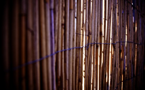 Pattern - Real World Wallpapers and Backgrounds