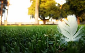 Photography - Earth Wallpaper