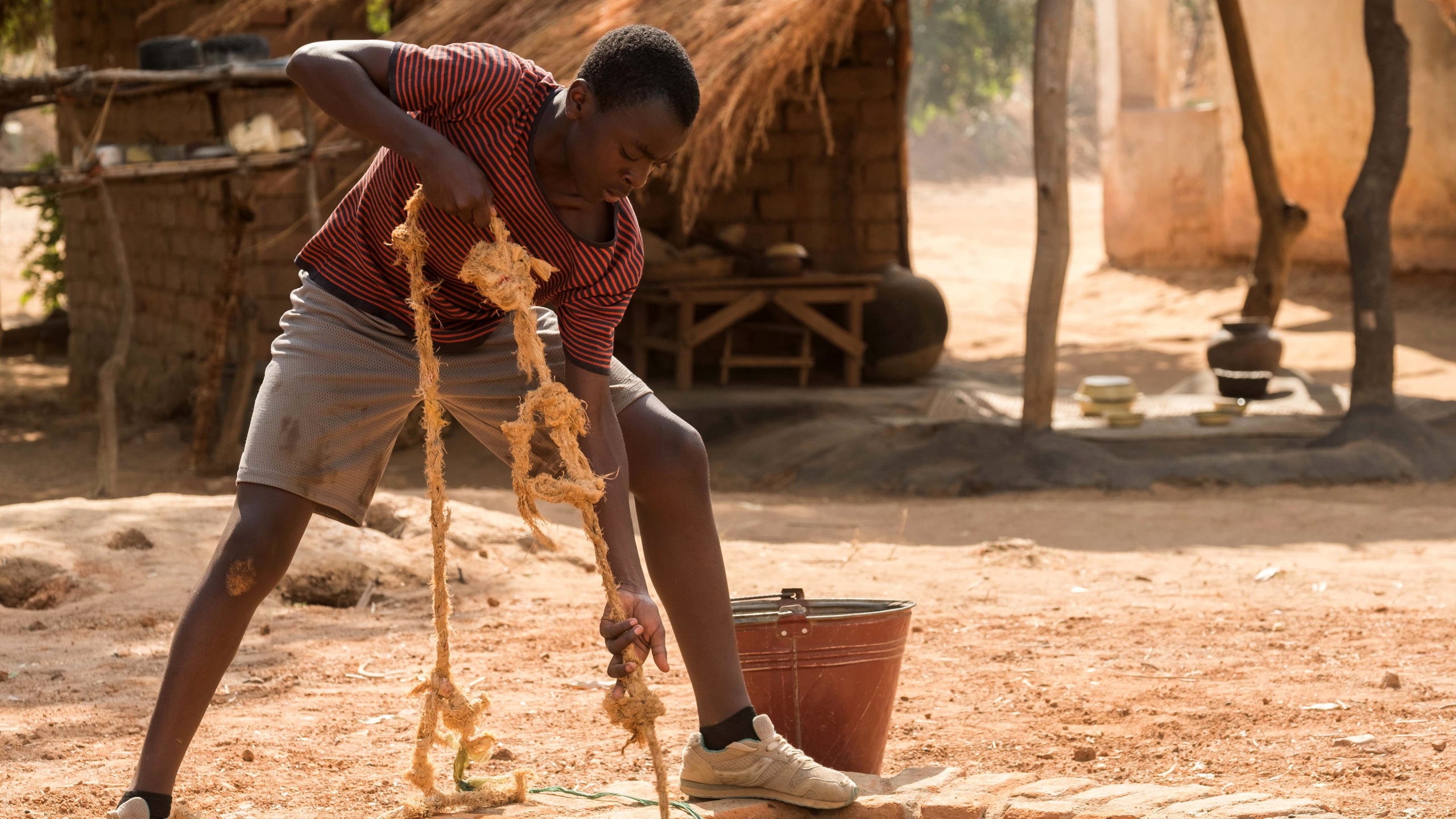 The Boy Who Harnessed the Wind HD Wallpaper