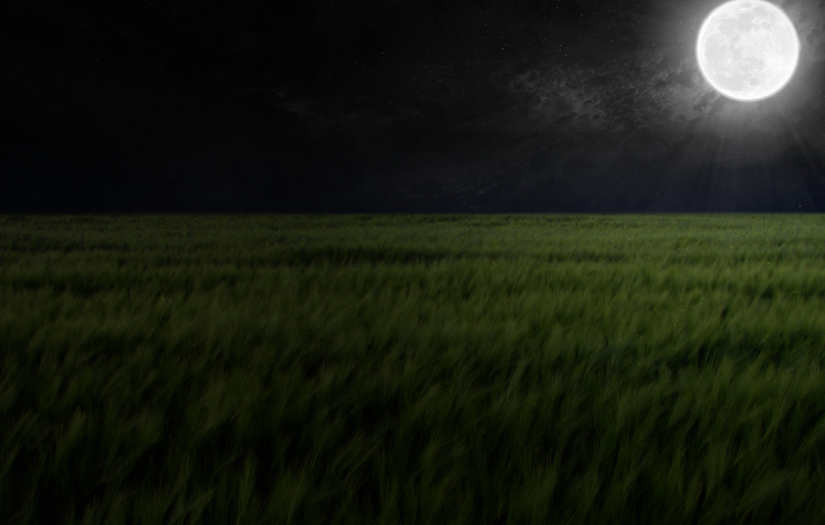 Dark Rye: A stunning field illuminated by moonlight in the stillness of night.