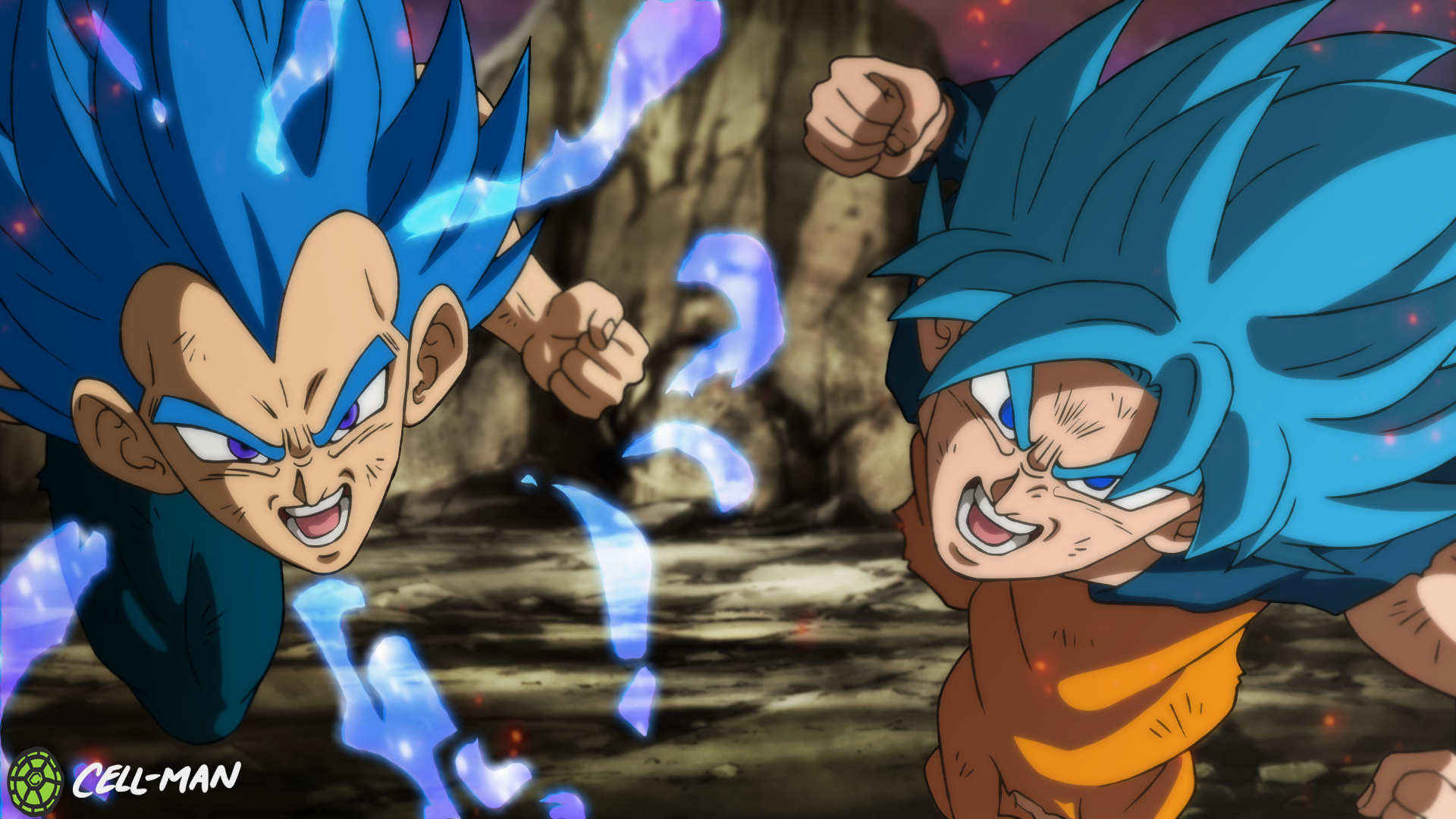 Goku & Vegeta SSB by therealcellman