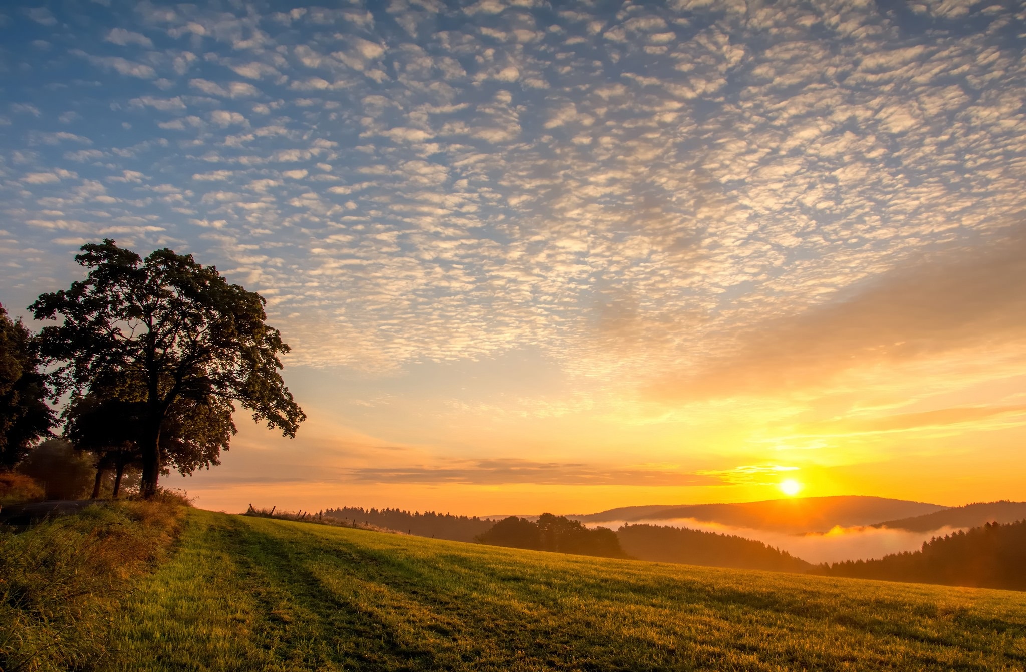 Download Nature Sunrise HD Wallpaper