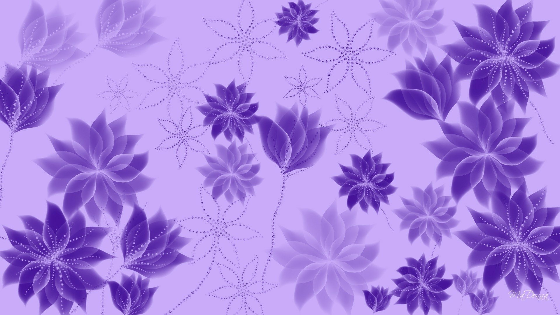Purple Flowers by Ma Donna