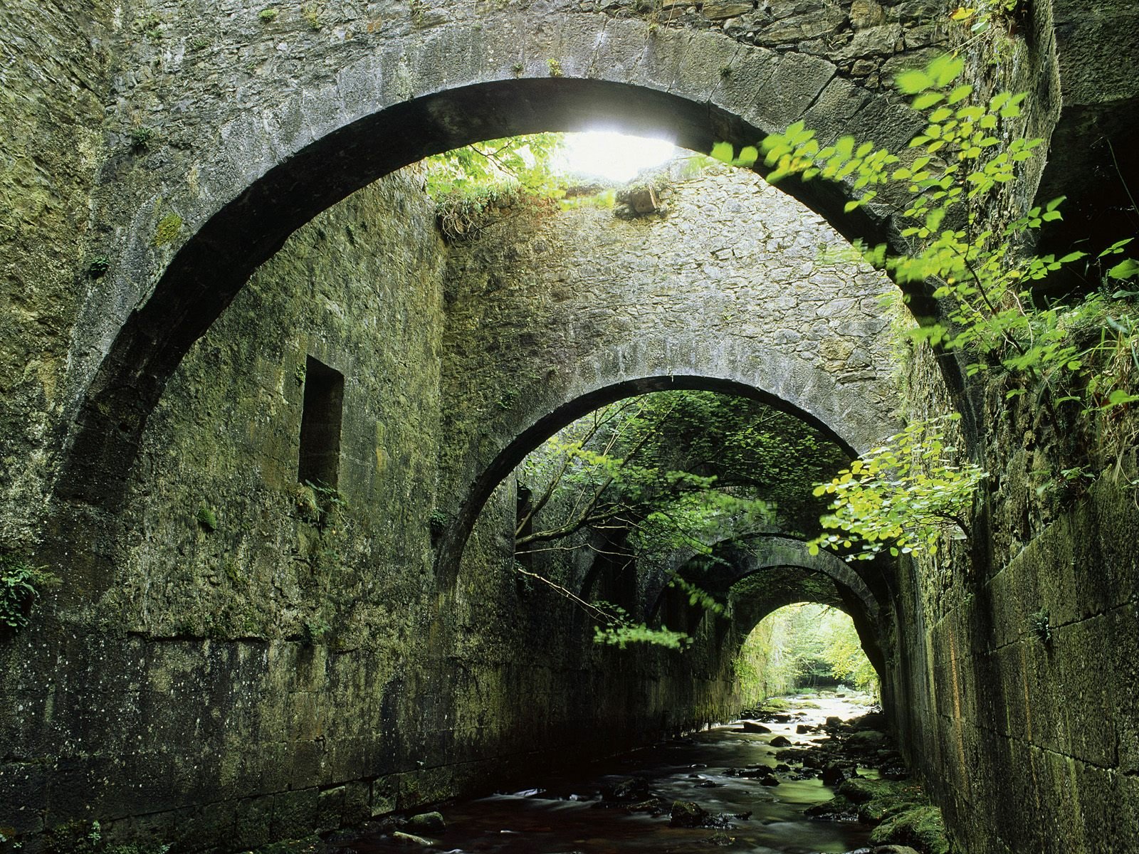 A stunning HD desktop wallpaper featuring an ancient stone bridge, framed by lush greenery and arching arches, creating a serene and captivating natural scene.