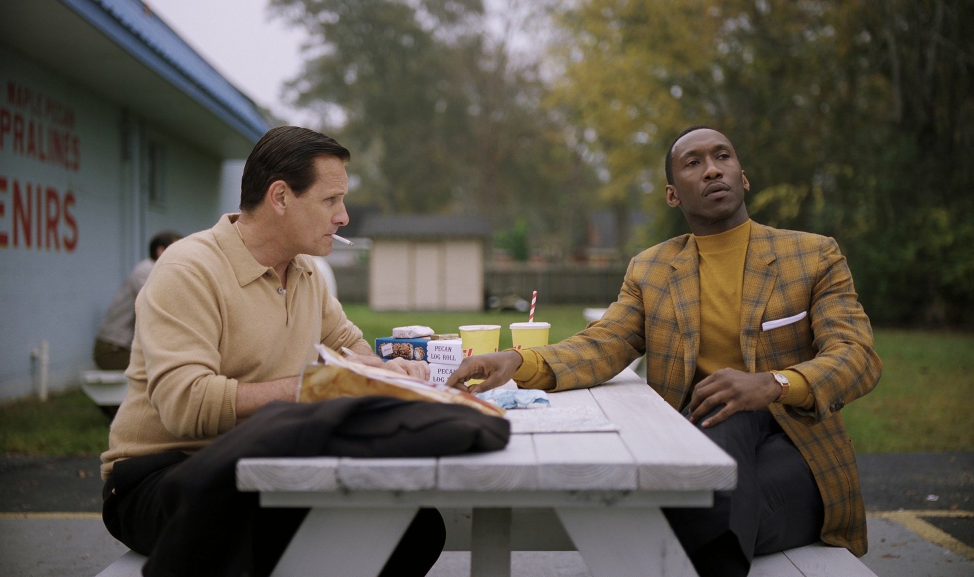 HD desktop wallpaper featuring actors from Green Book, seated at a picnic table in a thoughtful conversation.