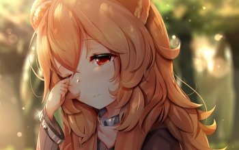 323 The Rising Of The Shield Hero Hd Wallpapers Background