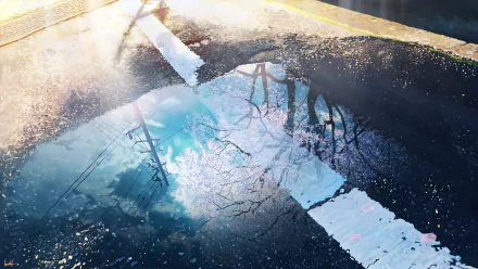 Anime-style HD desktop wallpaper featuring a serene road scene with cherry blossom reflections in a water puddle.
