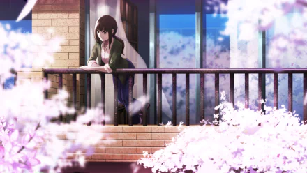 Anime-style 4K Ultra HD wallpaper featuring a brown-haired girl with brown eyes leaning on a balcony railing, surrounded by blooming cherry blossoms.