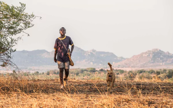 Maxwell Simba movie The Boy Who Harnessed the Wind HD Desktop Wallpaper | Background Image