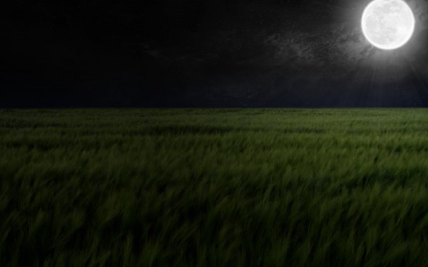 Earth Moon Field Night HD Wallpaper | Background Image