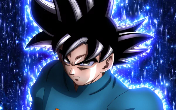  Goku Grand Master by DT501061 余佳軒