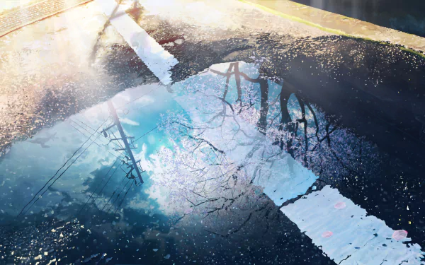 Anime-style HD desktop wallpaper featuring a serene road scene with cherry blossom reflections in a water puddle.