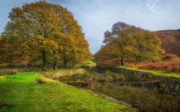 HD PC desktop wallpaper and background: nature river scene with a calm stream winding between autumn trees and grassy banks under a pale blue sky.