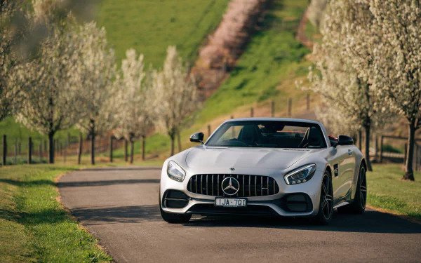white car car Mercedes-AMG Mercedes-AMG GT vehicle Mercedes-AMG GT C HD Desktop Wallpaper | Background Image