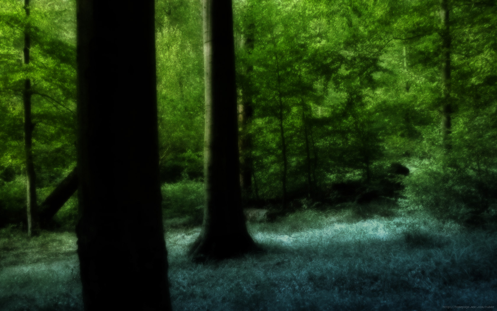 Earth Forest Wallpaper