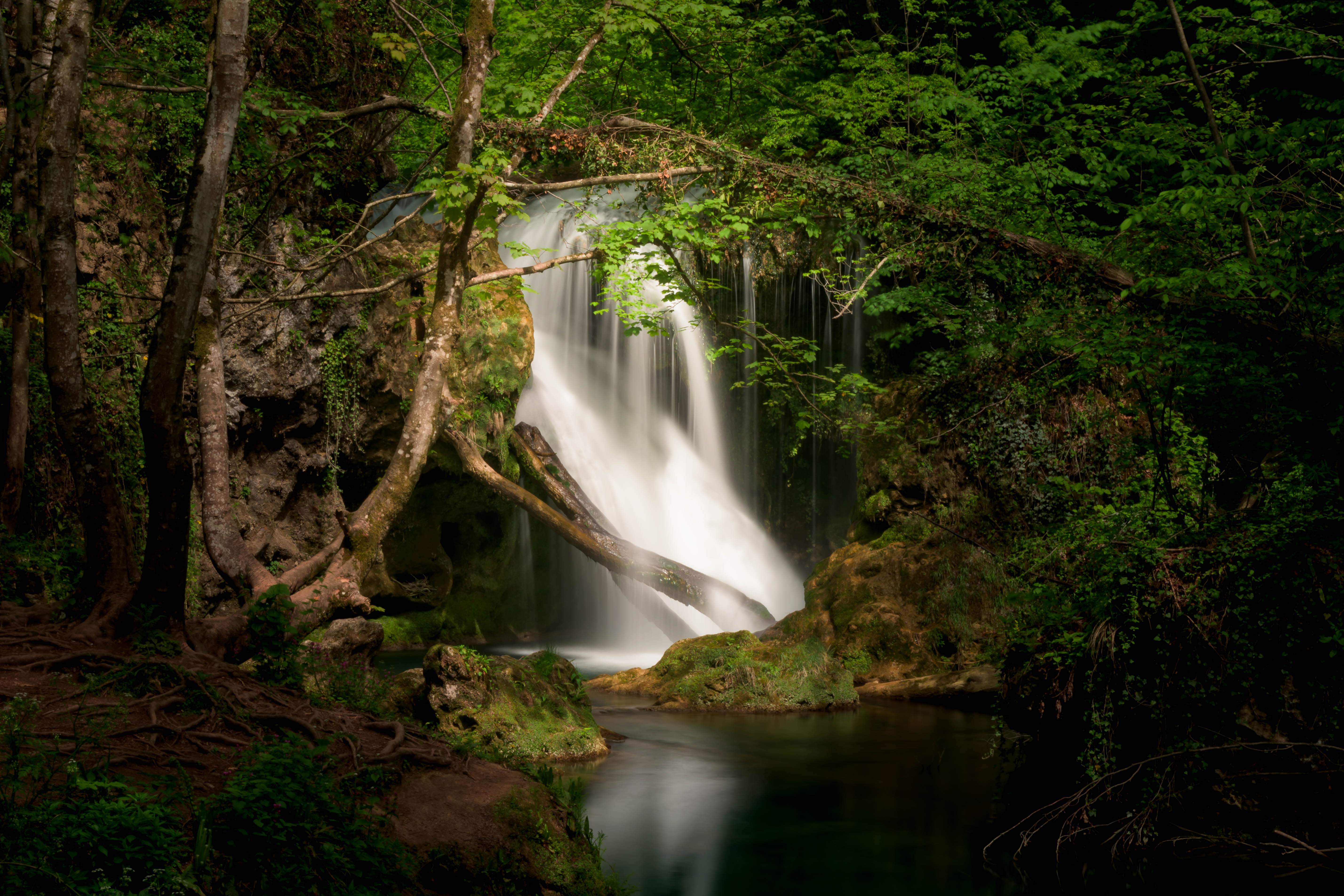 Download Nature Tree Waterfall 4k Ultra HD Wallpaper