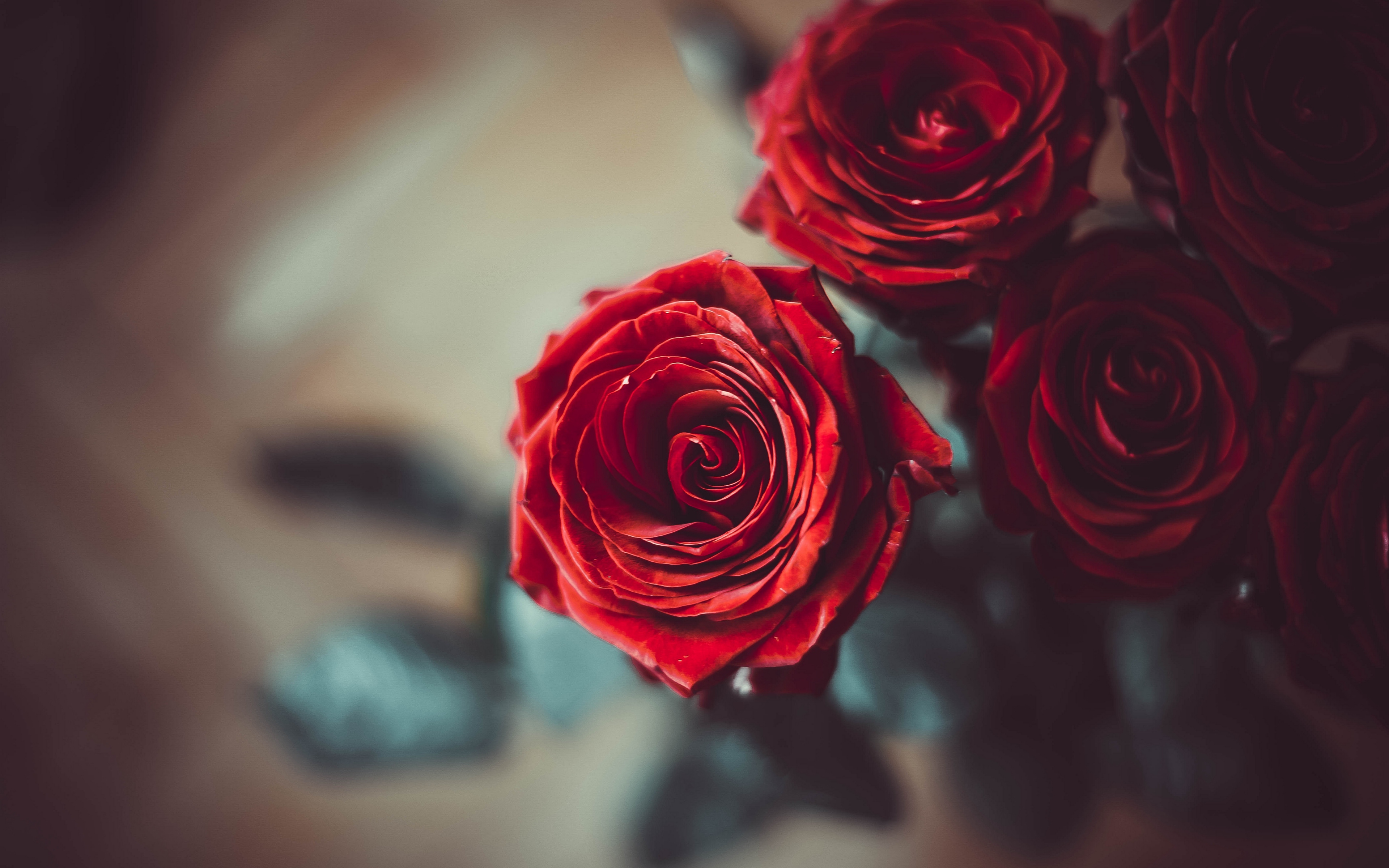 Red Rose Petals 4k Ultra HD Wallpaper | Background Image ...