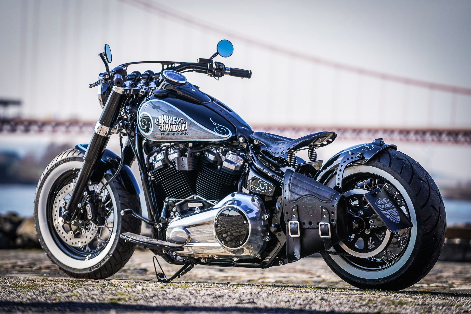 Harley Davidson Softail Slim Custom