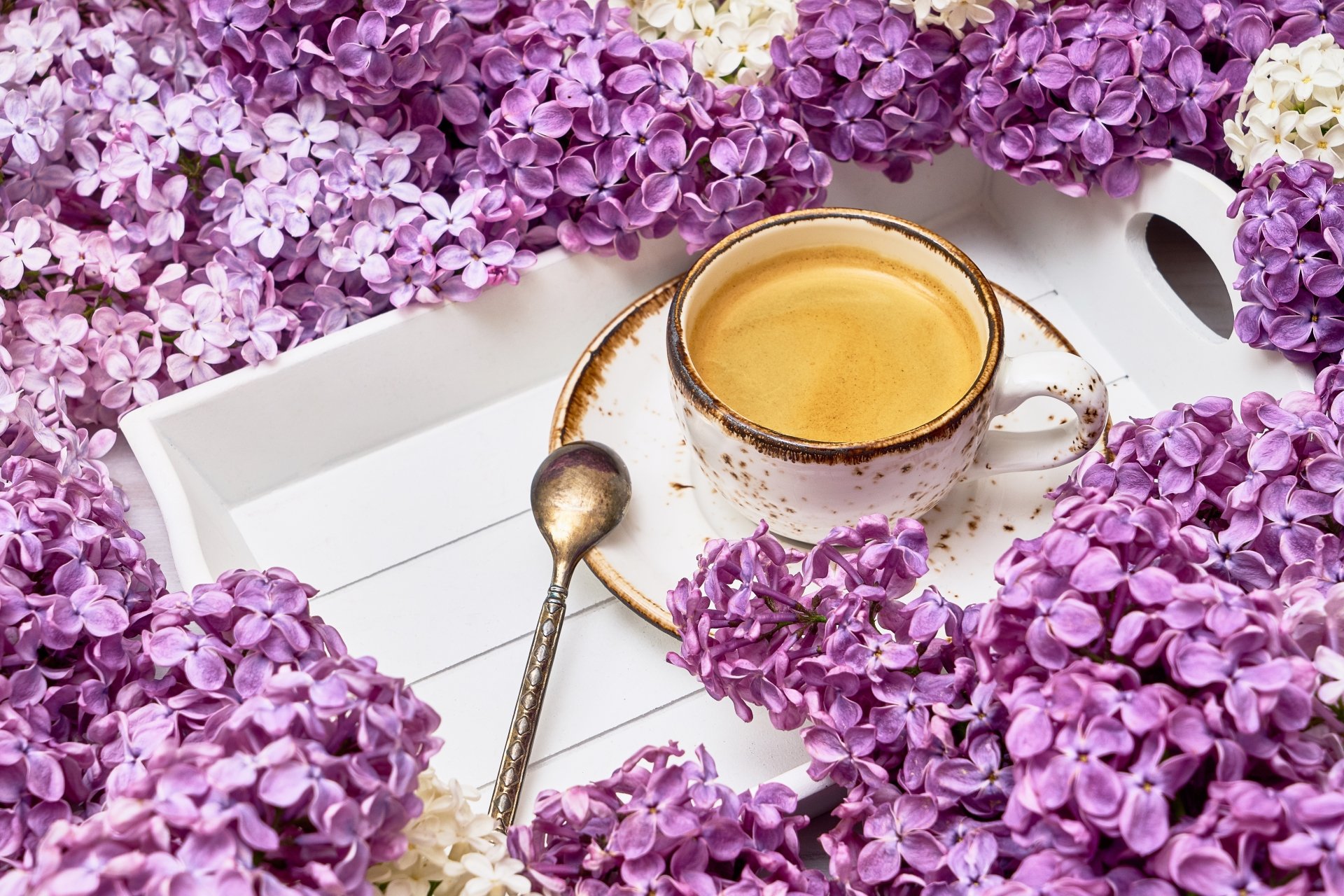 Download Lilac Still Life Pink Flower Flower Cup Food Coffee 4k Ultra