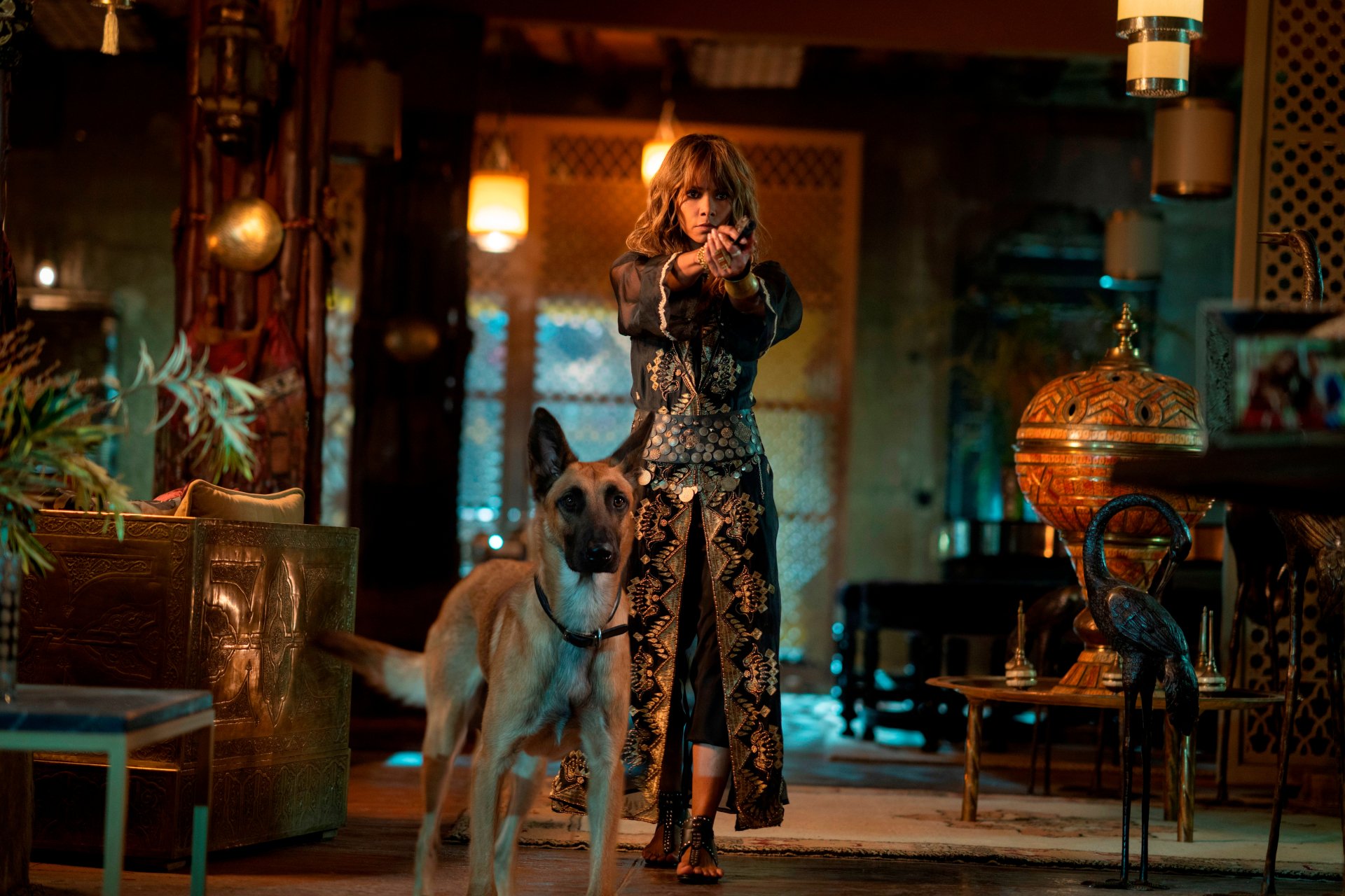 Download Halle Berry Movie John Wick: Chapter 3 - Parabellum 4k Ultra HD Wallpaper