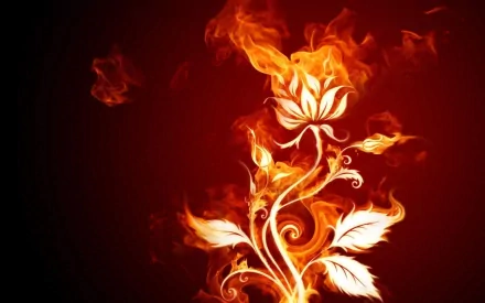 Artistic HD wallpaper featuring a fiery flower design with swirling flames and elegant lines, blending vibrant colors and dynamic shapes for a captivating background.