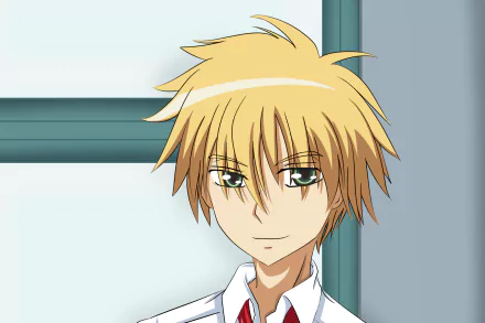 Takumi Usui Anime Maid Sama! HD Desktop Wallpaper | Background Image