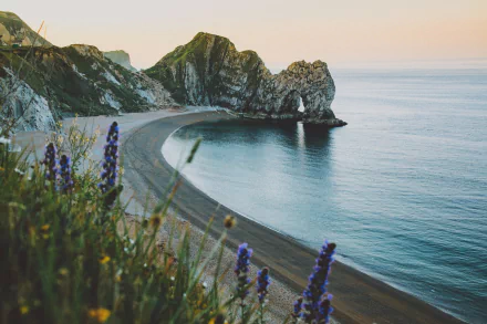 A stunning HD desktop wallpaper featuring the natural coastline and arch of Durdle Door, with a calm horizon and beach framed by wildflowers.