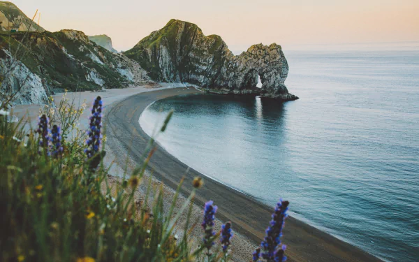 A stunning HD desktop wallpaper featuring the natural coastline and arch of Durdle Door, with a calm horizon and beach framed by wildflowers.