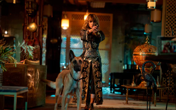 Halle Berry movie John Wick: Chapter 3 - Parabellum HD Desktop Wallpaper | Background Image