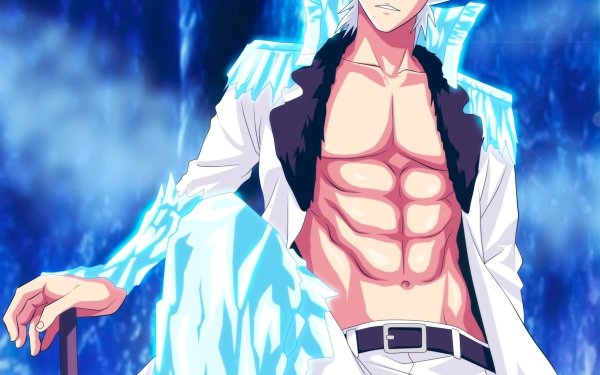 Tōshirō Hitsugaya HD Wallpaper | Background Image | 1920x1440