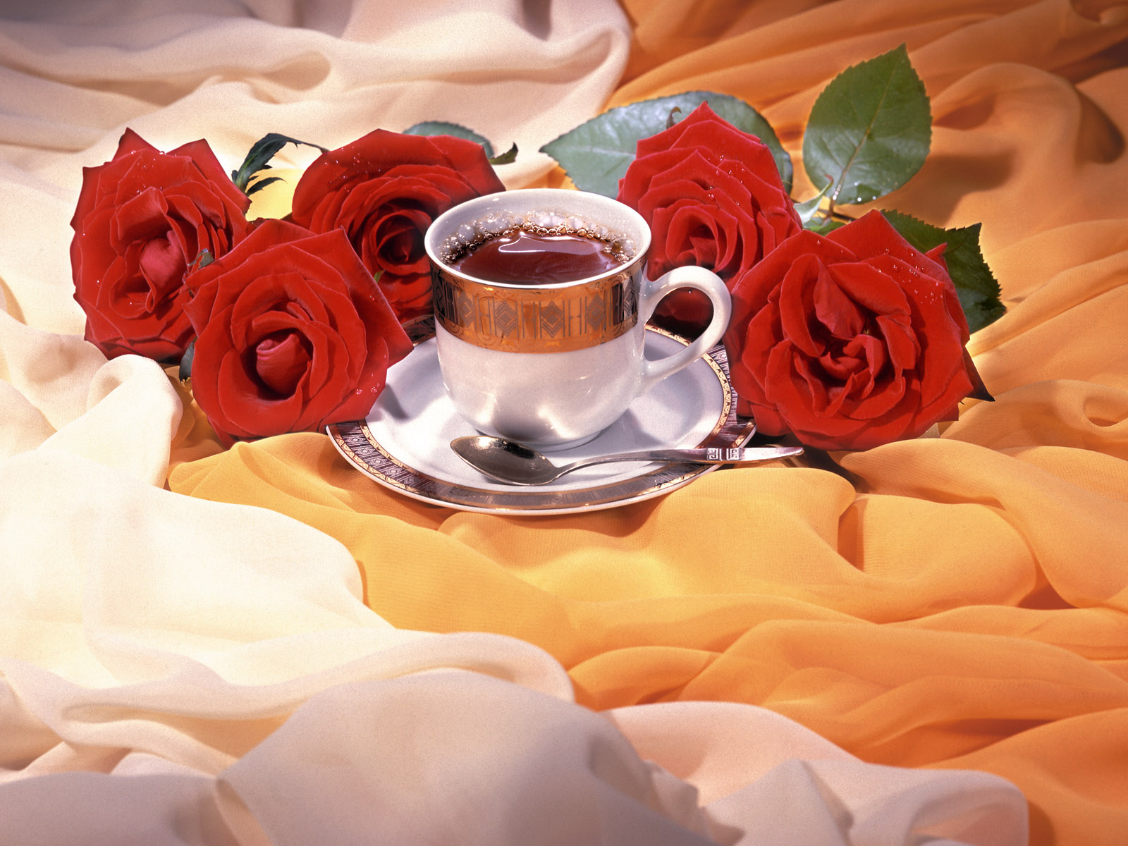 Hot Tea and Roses
