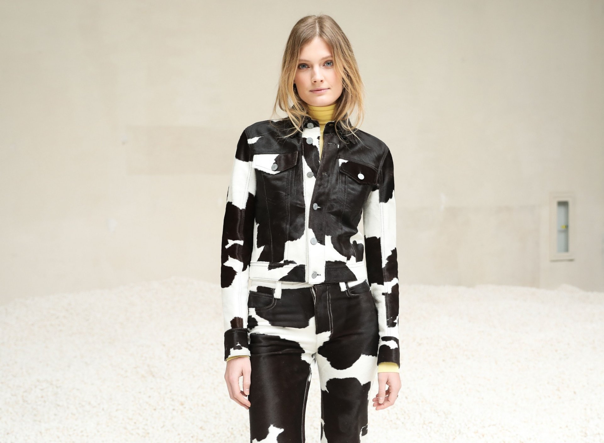 Download Blue Eyes French Blonde Model Woman Constance Jablonski HD Wallpaper