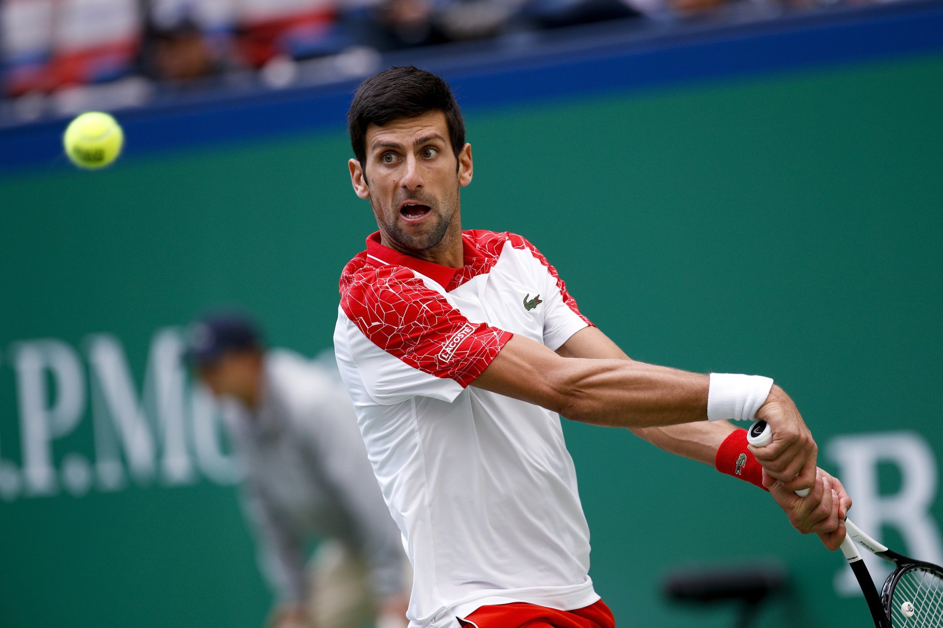 Download Serbian Tennis Novak Djokovic Sports HD Wallpaper