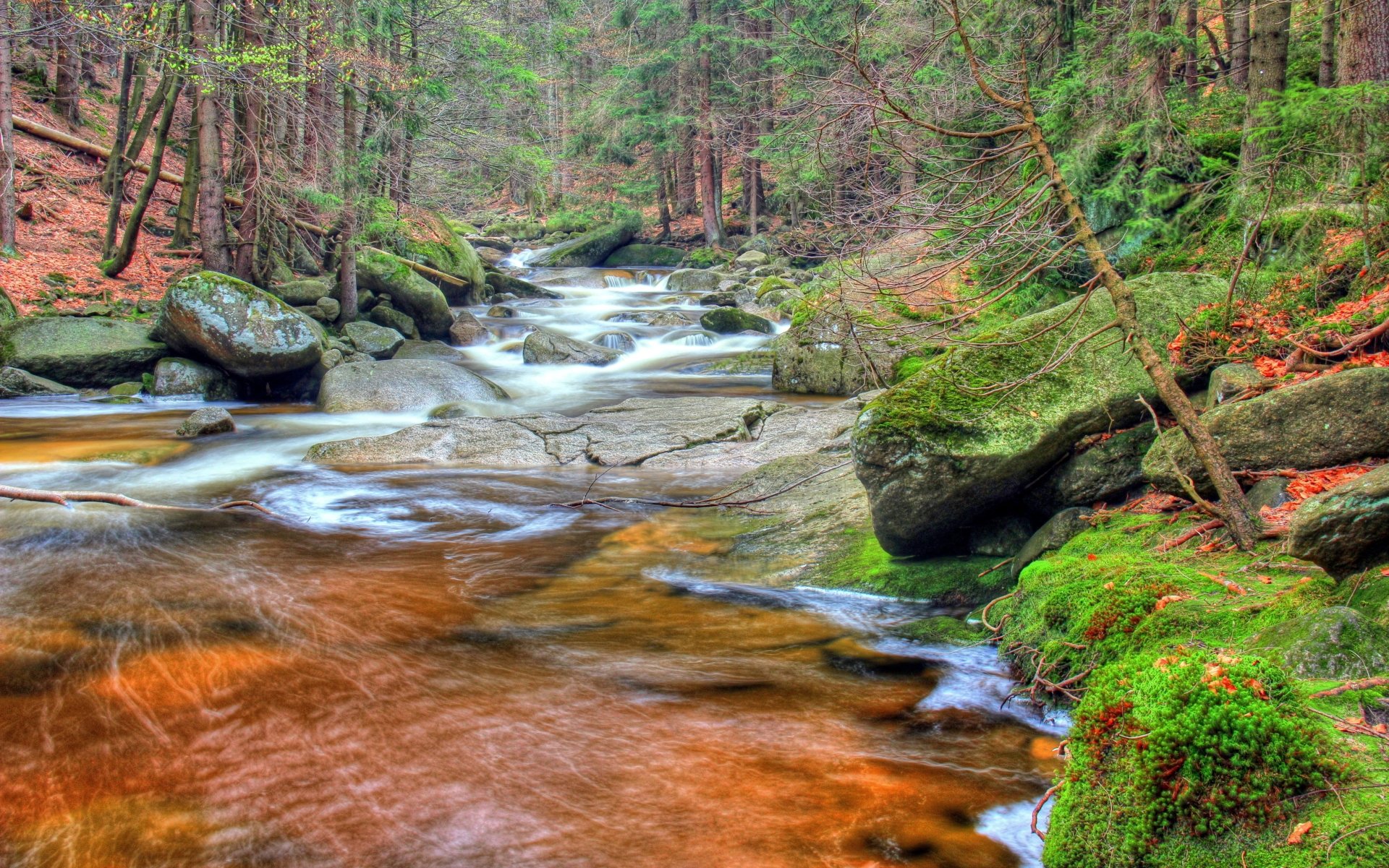 Download HDR Moss Nature River 4k Ultra HD Wallpaper | 5156x3226 ...