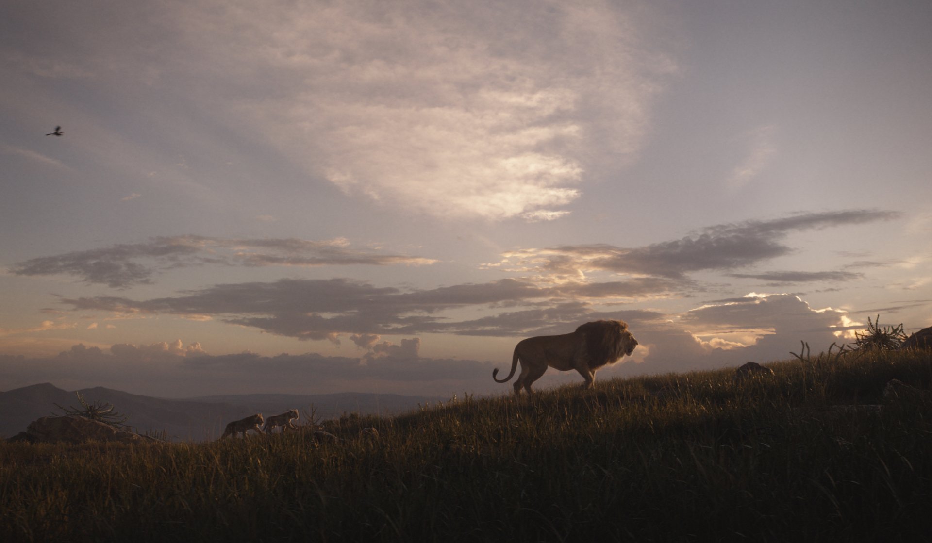 Download Mufasa The Lion King Nala The Lion King Simba Movie The nala-ray-videos