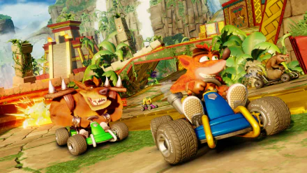 video game Crash Team Racing HD Desktop Wallpaper | Background Image