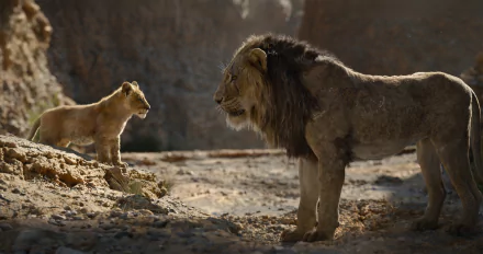 Scar (The Lion King) Simba movie The Lion King (2019) HD Desktop Wallpaper | Background Image