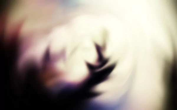  Shadow