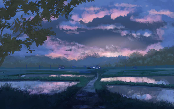 HD anime wallpaper featuring an evening countryside path, surrounded by reflective water fields and a tree, with a beautiful, colorful sky in the background.