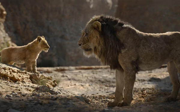 Scar (The Lion King) Simba movie The Lion King (2019) HD Desktop Wallpaper | Background Image